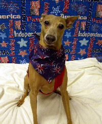Max July 10.jpg